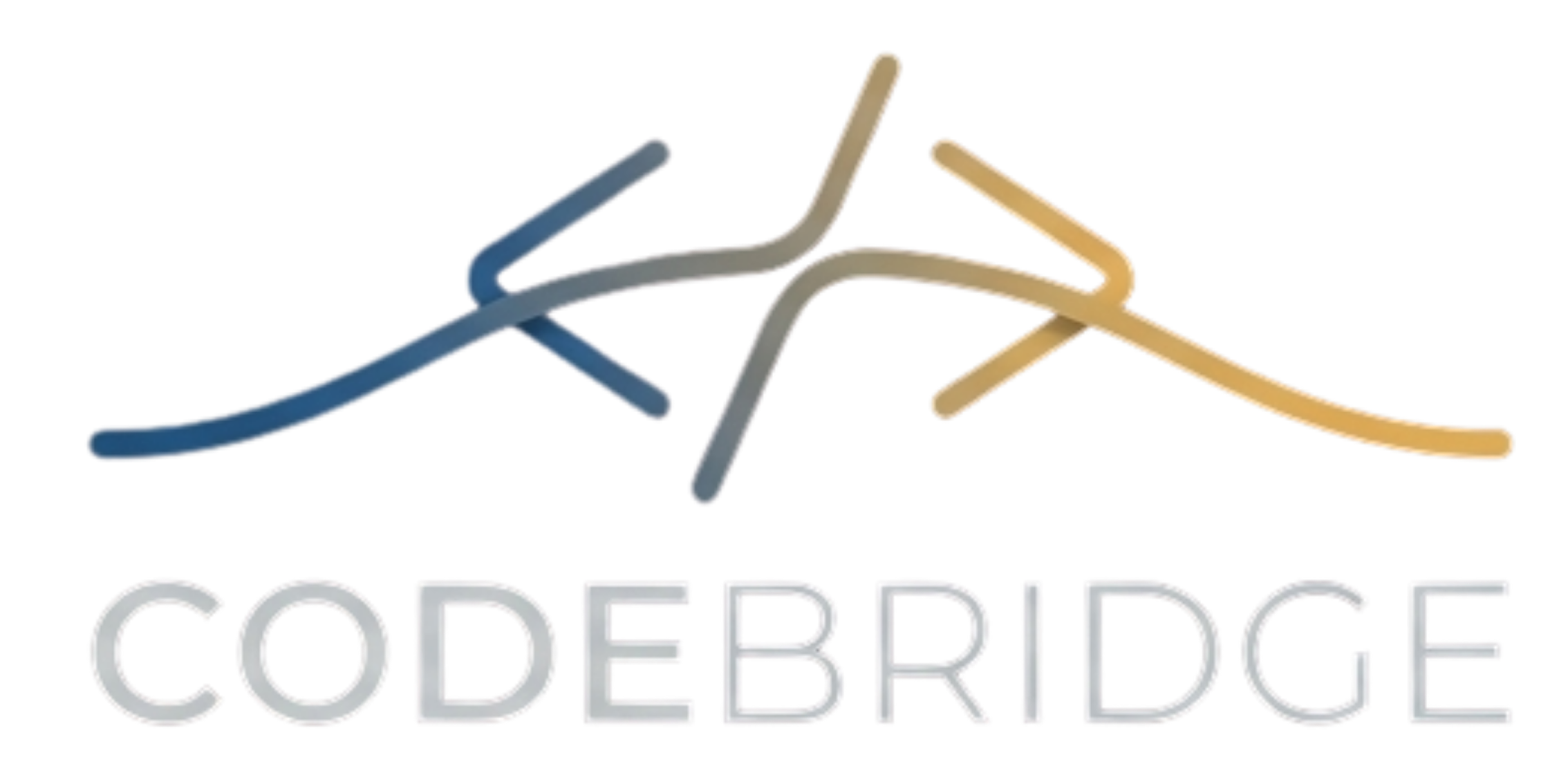 CodeBridge